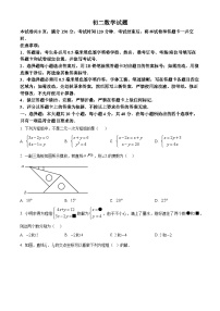 山东省淄博市沂源县2023-2024学年七年级下学期4月期中考试数学试题（原卷版+解析版）