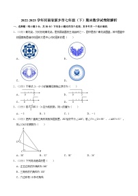 2022-2023学年河南省新乡市七年级（下）期末数学试卷附解析