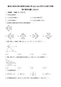 黑龙江省佳木斯市富锦市实验中学2023-2024学年七年级下学期期中数学试题（原卷版+解析版）