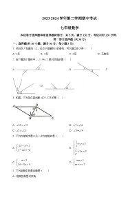 广东省江门市蓬江区省实学校2023-2024学年七年级下学期期中数学试题（原卷版+解析版）