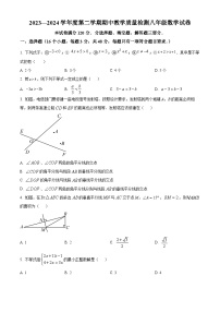 河北省邯郸市成安县长巷初级中学2023-2024学年八年级下学期期中数学试题（原卷版+解析版）