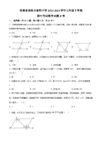 海南省琼海市嘉积中学2023-2024学年七年级下学期期中考试数学试题B卷（原卷版+解析版）