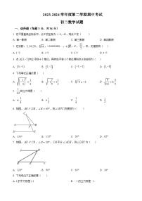 黑龙江省绥化市望奎县2023-2024学年七年级下学期期中数学试题（原卷版+解析版）