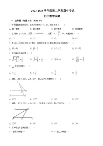 黑龙江省绥化市望奎县2023-2024学年七年级下学期期中数学试题（原卷版+解析版）