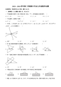 河北省保定市爱和城学校2023-2024学年七年级下学期期中数学试题（原卷版+解析版）