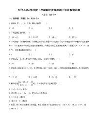 山东省日照市东港区田家炳实验中学2023-2024学年七年级下学期期中数学试题（原卷版+解析版）