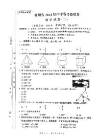 2024年贵州省铜仁市万山区中考三模数学试题