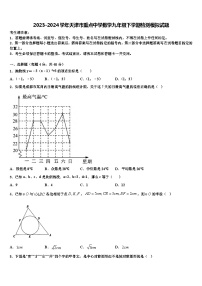 2023-2024学年天津市重点中学数学九年级下学期检测模拟试题