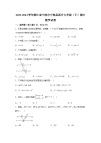 浙江省宁波市宁海县西片2023-2024学年七年级下册期中考试数学试题（含解析）