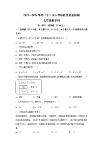 陕西省咸阳市泾阳县2023-2024学年七年级下册期中数学试题（含解析）