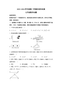 山东省枣庄市台儿庄区2023-2024学年七年级下册期中考试数学试题（含解析）