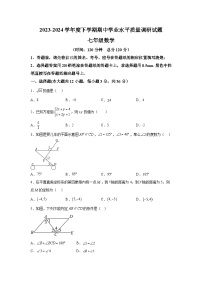 山东省临沂市罗庄区2023-2024学年七年级下册期中考试数学试题（含解析）