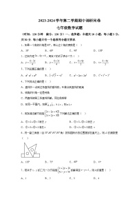 山东省聊城市2023-2024学年七年级下册期中数学试题（含解析）