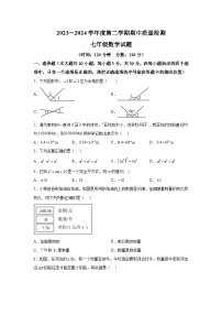 山东省菏泽市东明县2023-2024学年七年级下册期中数学试题（含解析）