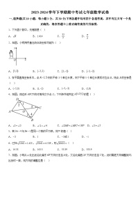 湖北省荆门市海慧中学2023-2024学年七年级下册期中数学试题（含解析）