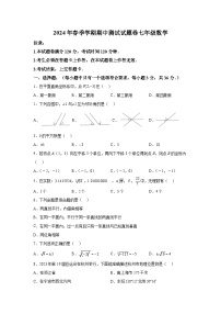 广西壮族自治区河池市宜州区2023-2024学年七年级下册期中数学试题（含解析）