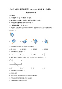 北京市宣武外国语实验学校2023-2024学年七年级下册期中数学试题（含解析）