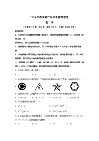 2024年广西部分市县区九年级中考一模数学试题（含解析）