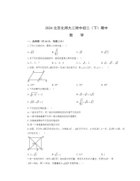 2024北京北师大二附中初二下学期期中数学试卷及答案