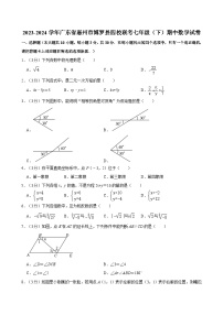 +广东省惠州市博罗县四校联考2023-2024学年七年级下学期期中数学试卷