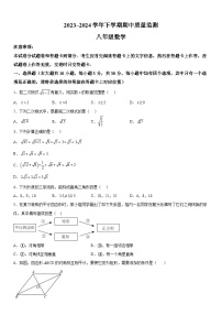 河南省许昌市长葛市2023-2024学年八年级下册期中数学试题（含解析）