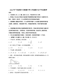 广东省汕尾市陆丰市南塘中学2023-2024学年八年级下册期中数学试题（含解析）