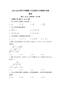 福建省莆田市涵江区莆田锦江中学2023-2024学年八年级下册期中数学试题（含解析）