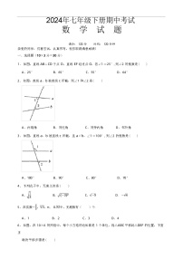 2024年春人教版七年级下册数学期中试题