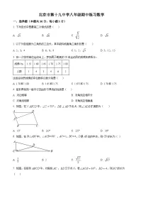 北京市第十九中学2023-2024学年八年级下学期期中数学试题（原卷版+解析版）