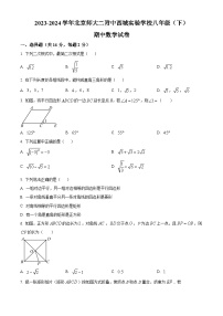 北京市西城区北京师范大学第二附属中学西城实验学校2023-2024学年八年级下学期期中数学试题