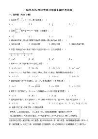 福建省莆田市城厢区莆田哲理中学2023-2024学年七年级下学期期中数学试题（原卷版+解析版）