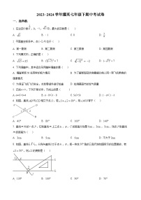 福建省莆田市城厢区莆田擢英中学2023-2024学年七年级下学期期中数学试题（原卷版+解析版）