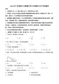 广东省汕尾市陆丰市南塘中学2023-2024学年八年级下学期期中数学试题（原卷版+解析版）