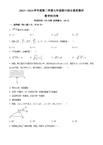 广东省潮州市湘桥区联正实验学校2023-2024学年七年级下学期期中数学试题（原卷版+解析版）