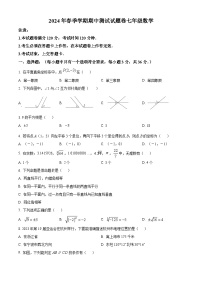广西壮族自治区河池市宜州区2023-2024学年七年级下学期期中数学试题（原卷版+解析版）