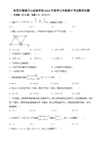 广东省东莞市南城开心实验学校2023-2024学年七年级下学期期中数学试题（原卷版+解析版）