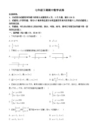 河南省新乡市辉县市2023-2024学年七年级下学期期中数学试题（原卷版+解析版）