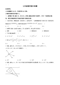 山东省菏泽市定陶区2023-2024学年七年级下学期期中考试数学试题（原卷版+解析版）