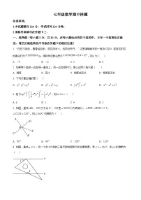 山东省菏泽市定陶区2023-2024学年七年级下学期期中考试数学试题（原卷版+解析版）