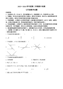 山东省济宁市邹城市2023-2024学年七年级下学期期中数学试题（原卷版+解析版）