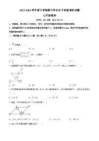 山东省临沂市罗庄区2023-2024学年七年级下学期期中考试数学试题（原卷版+解析版）