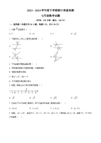 山东省日照市东港区日照港中学2023-2024学年七年级下学期期中数学试题（原卷版+解析版）