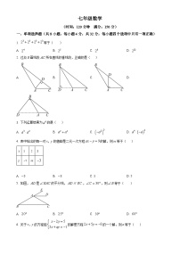 山东省潍坊市高密市2023-2024学年七年级下学期期中考试数学试题（原卷版+解析版）