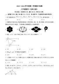 陕西省渭南市高新区2023-2024学年八年级下学期期中数学试题（原卷版+解析版）