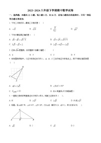 天津市西青区当城中学2023-2024学年八年级下学期期中数学试题（原卷版+解析版）