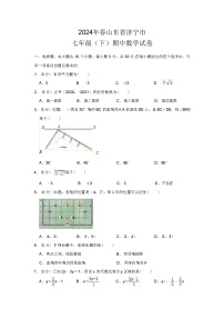 2024年春山东省济宁市七年级数学下册期中试题（原卷+解析版）