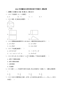 2024年安徽省合肥市肥西县中考数学二模试卷