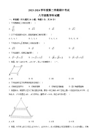 广东省江门市新会区葵城中学2023-2024学年八年级下学期期中数学试题（原卷版+解析版）