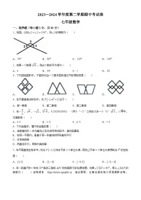 06，河南省商丘市虞城县2023-2024学年七年级下学期期中数学试题