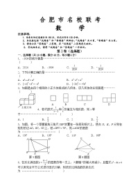 10，2024年安徽省合肥市名校联考中考模拟数学试题